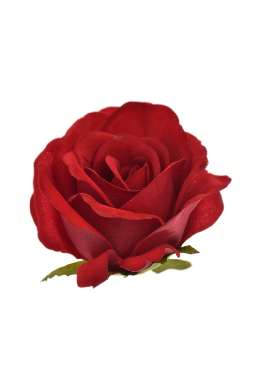 94333E10-4185-41F0-BCFE-30C4DA4A2CF0