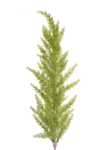 1A111F99-D3DD-49A4-BB0A-ACAA114230D8