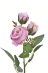 C8CB7E5B-C02A-43FE-877C-C85963FB401D