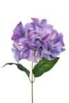 BC4B5BC7-A631-4D1B-A7B9-2D800952BD4D