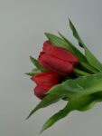 IMG_4061.HEIC