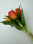 IMG_4082.HEIC