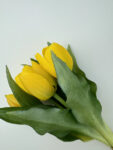 IMG_4084.HEIC