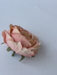 IMG_6512