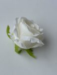 IMG_6537