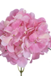 9D64935B-AC10-4EE1-B4A5-4E17444732FA