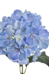 4D83E14B-BA29-4F16-A582-C36B713AE34D