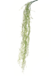 D839F4DA-1248-4EF3-BFE9-990A2A795070