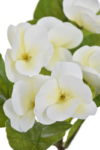 9C51E9B0-270C-4DEE-A41B-35DB282CD67D