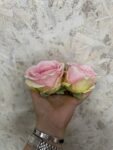 IMG_2859