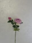 IMG_0701