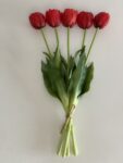 IMG_2657