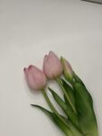 IMG_2712