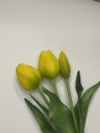 IMG_2714