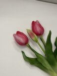 IMG_2718