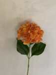 IMG_2783