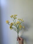IMG_0838
