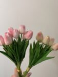IMG_4994
