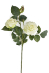 REN2011##WHITE_m