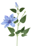 IMG_8327