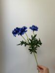 IMG_8475