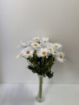 IMG_8484