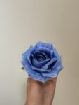 IMG_8535