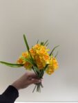IMG_8654