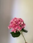 IMG_0776