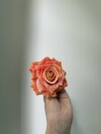 IMG_1671