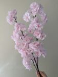 IMG_0008