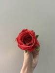 IMG_0072