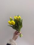 IMG_1618
