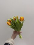 IMG_1622