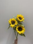 IMG_1647