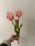 IMG_1690
