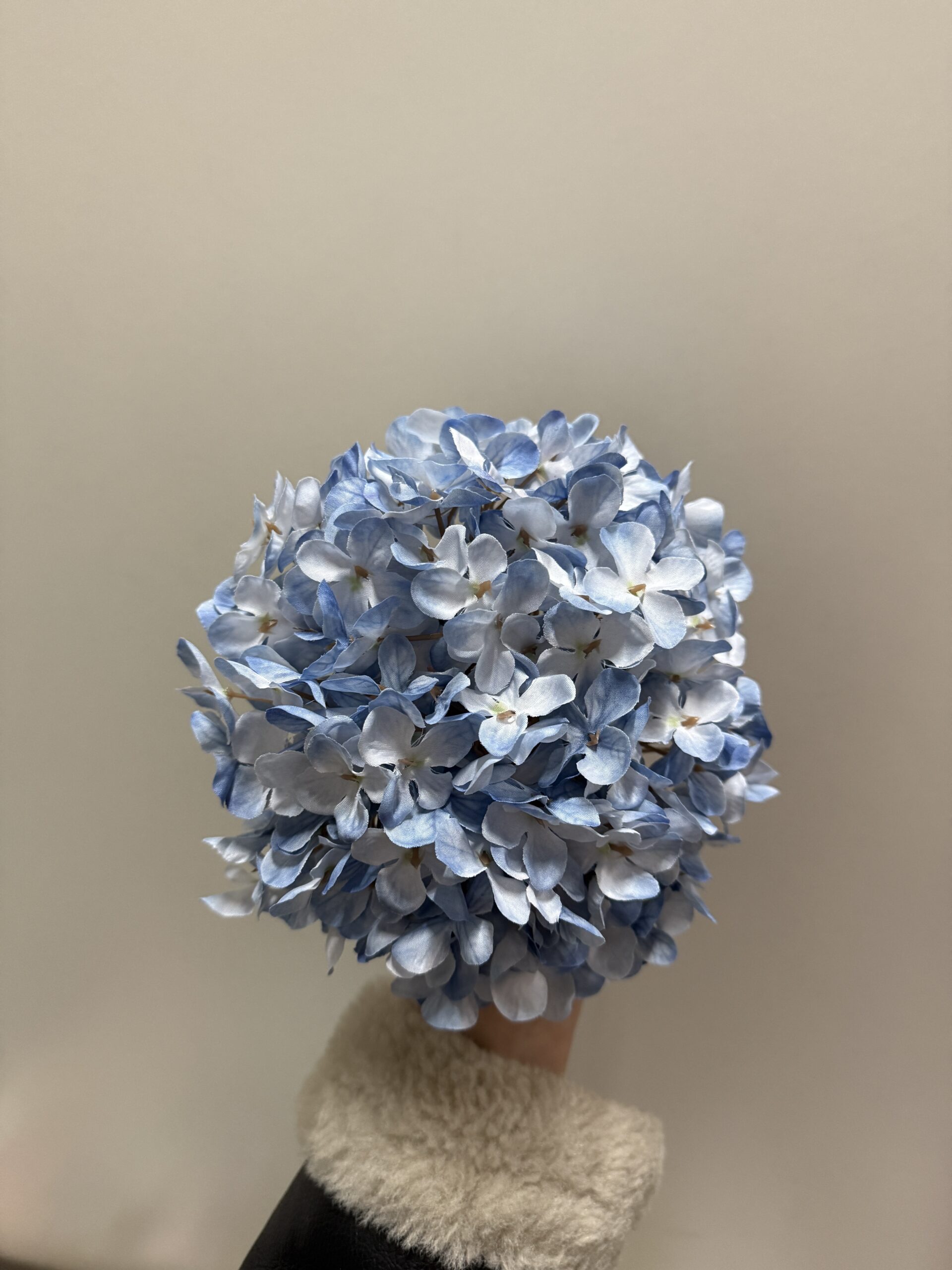 IMG_4543