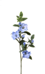 SUN617#2635#LT BLUE_m