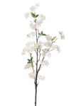 SUN849##WHITE#3_m
