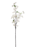 SUN849##WHITE#3_m