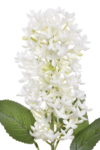 TPY1003##WHITE GREEN#1_m