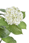 WYP001##WHITE#4_m