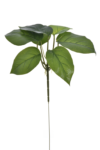 ART IVY02##GREEN LT GREEN#1_m