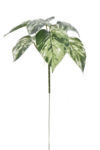ART IVY02##GREEN WHITE#1_m (1)