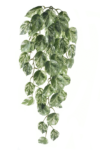 ART IVY04##GREEN WHITE#1_m (1)