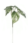 ART IVY04##GREEN WHITE#1_m (1)