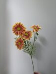 IMG_8283