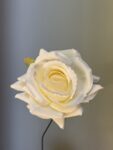 IMG_8791