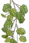 JUN085##GREEN#1_m
