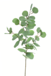 LIU539##POWDER GREEN#1_m